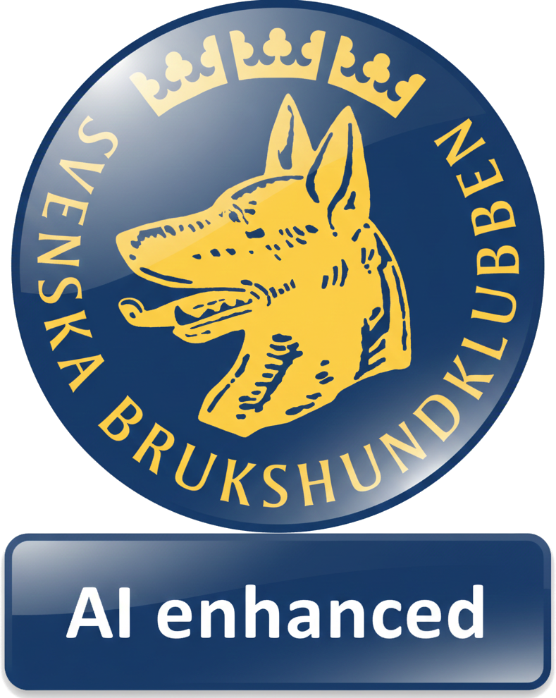 SBK AI Logo